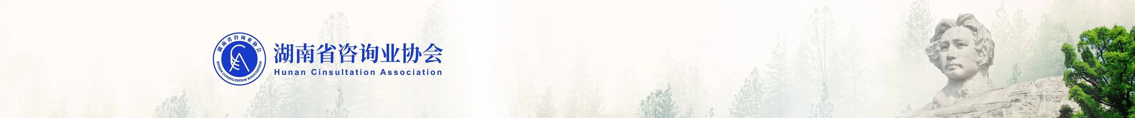 湖南省咨询业协会