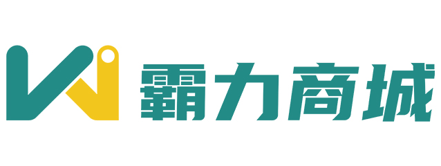 济南霸力升降机械有限公司