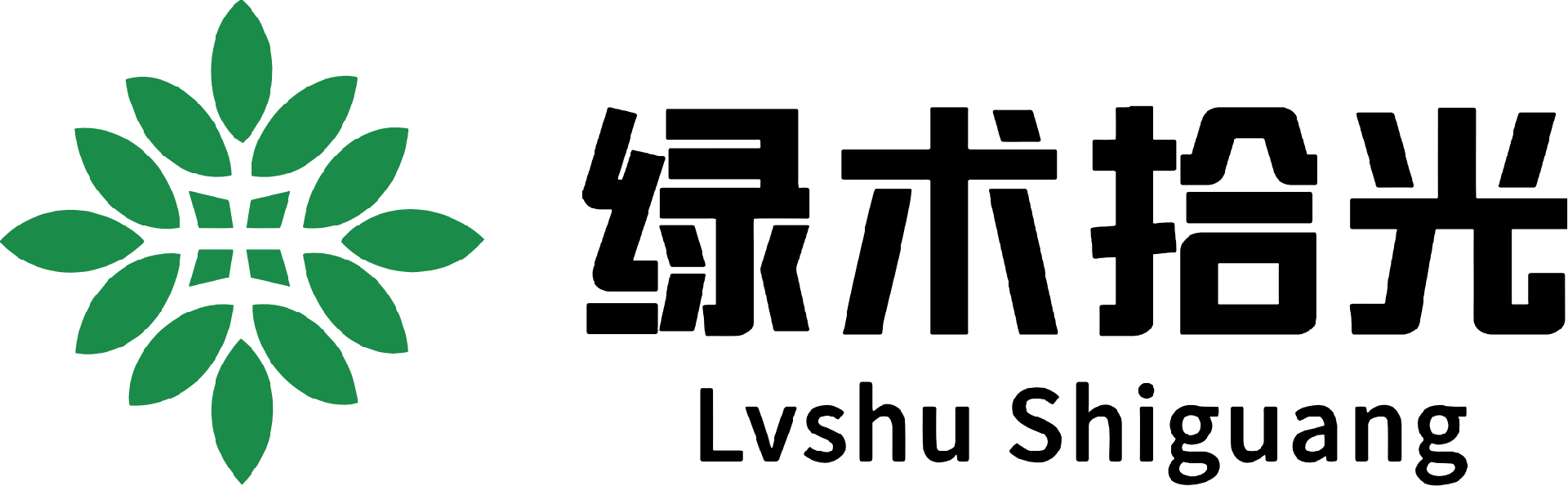 西安绿术拾光科技发展有限公司