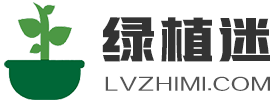 绿植迷 - 绿植花卉种植及盆景花卉养殖知识分享
