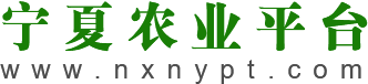 宁夏农业平台