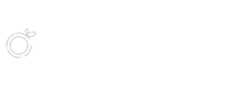 桔子预设 orangelut.com LR预设/PS滤镜/PR/AE/FCPX/达芬奇 调色预设Lightroom预设