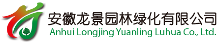 合肥绿化养护|合肥绿植租赁|合肥花卉租摆|合肥国庆花展|安徽龙景园林绿化有限公司