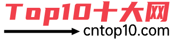 Top10十大网 - 热门前十大排行榜