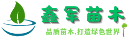 绿化苗木_园林绿化_苗木报价-湖南鑫军苗木场