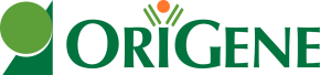OriGene 傲锐东源 | cDNA Clones,Proteins,Antibodies,and IVD Raw Materials | OriGene