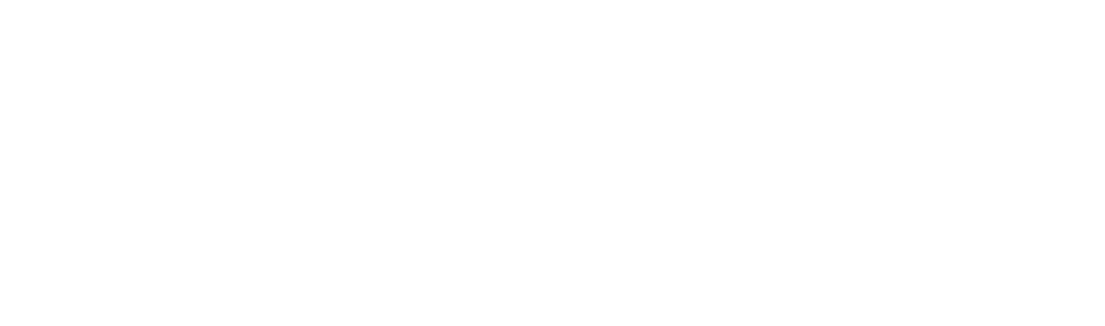 三鸟科技 - 知名SEO公司,专注百度/谷歌网站优化服务