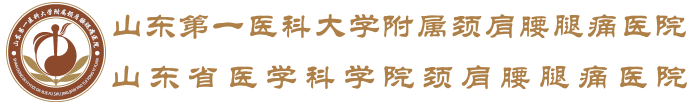 山东第一医科大学附属颈肩腰腿痛医院