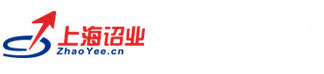 上海网站建设_网站设计_网站制作公司-【上海诏业】十多年建站经验值得信赖