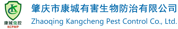 肇庆灭鼠,除四害,杀虫,除虫灭鼠,灭蚊,白蚁防治公司_肇庆康城有害生物防治有限公司