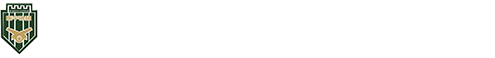 游乐气炮枪-振宇协和气炮枪厂家-枪林弹雨射击打靶游乐坦克设备-越野卡丁车