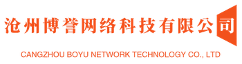 官网建设,代码优化,搜索引擎排名推广-沧州博誉网络科技有限公司