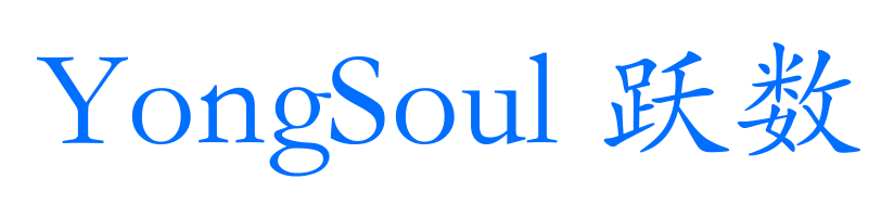 YongSoul 跃数